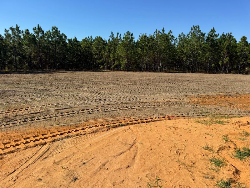 Land Clearing