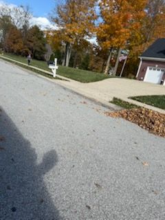 Fall and Spring Clean Up