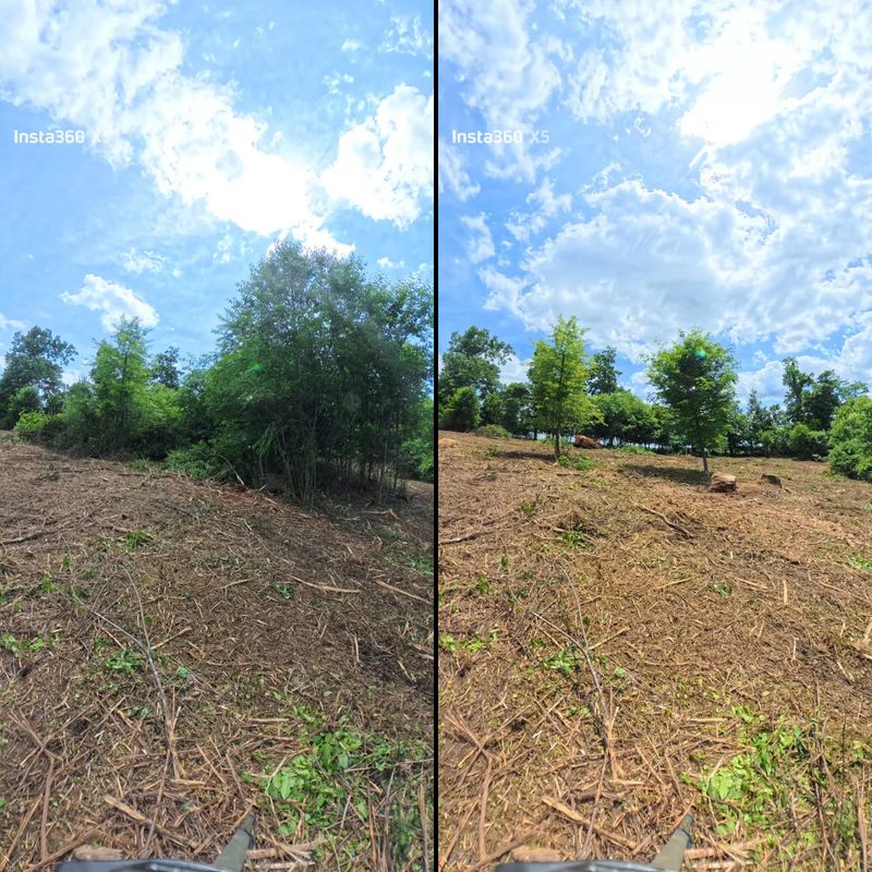 Before and Afters