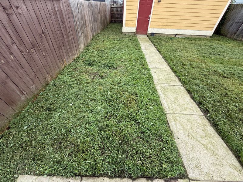 Lawn Mowing