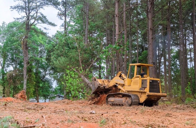 Land Clearing