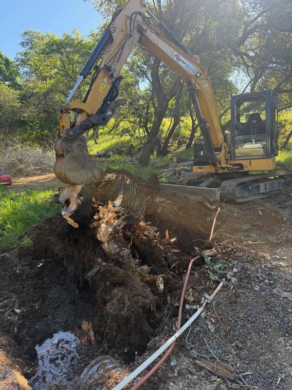 Land Clearing