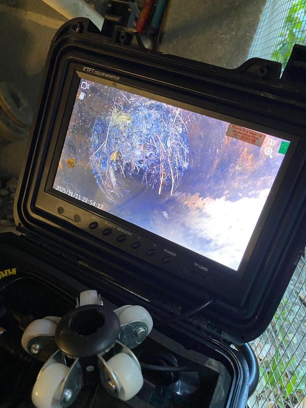 Drain Cleaning