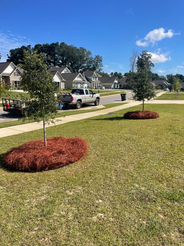 Landscape Maintenance