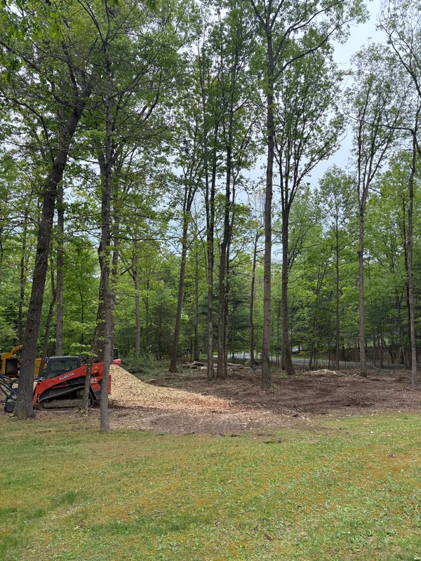 Land Clearing