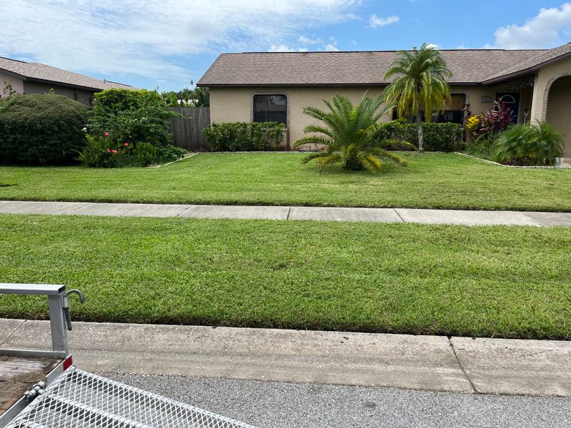 Lawn Maintenance
