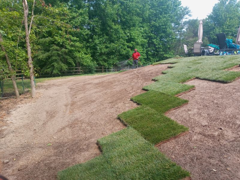 Grass Up