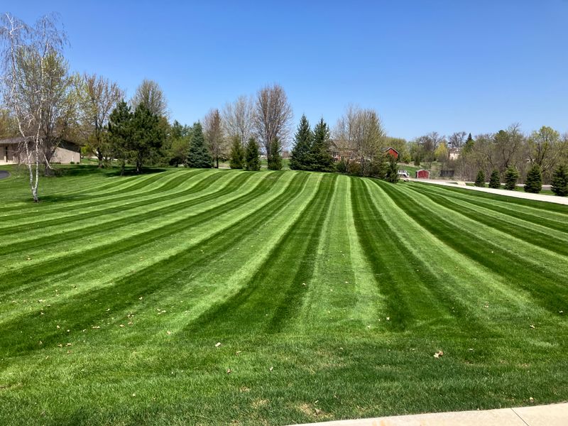 Landscape Maintenance