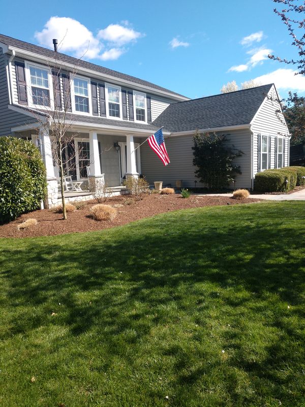 Privacy Plantings
