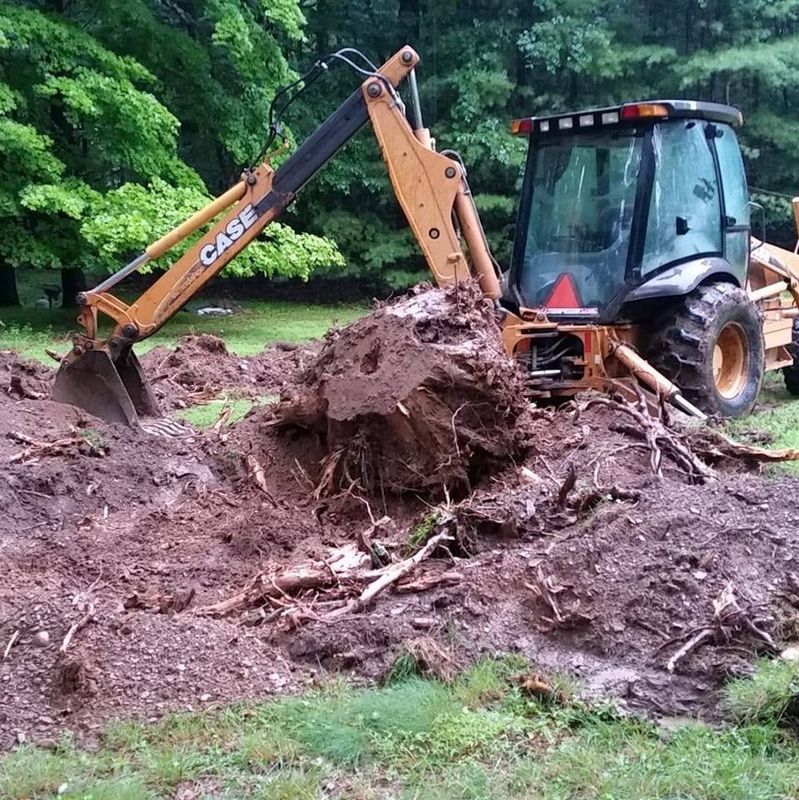 Stump Removal