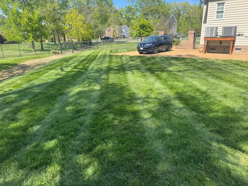 Lawn Mowing