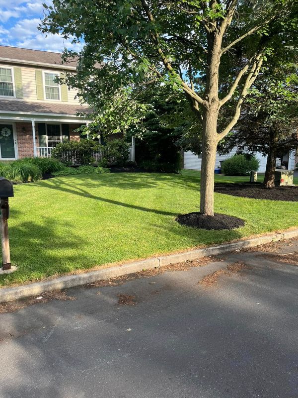 Mulching