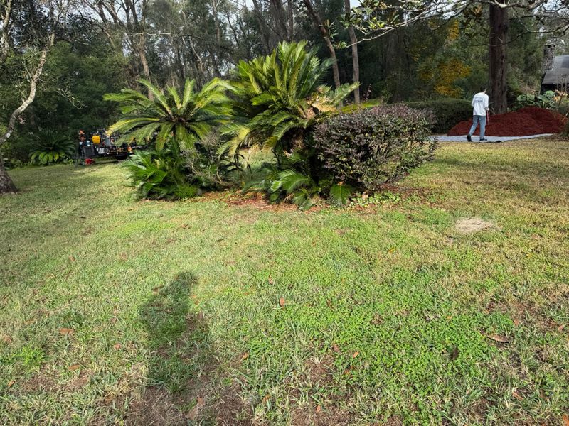 Mulch Installation