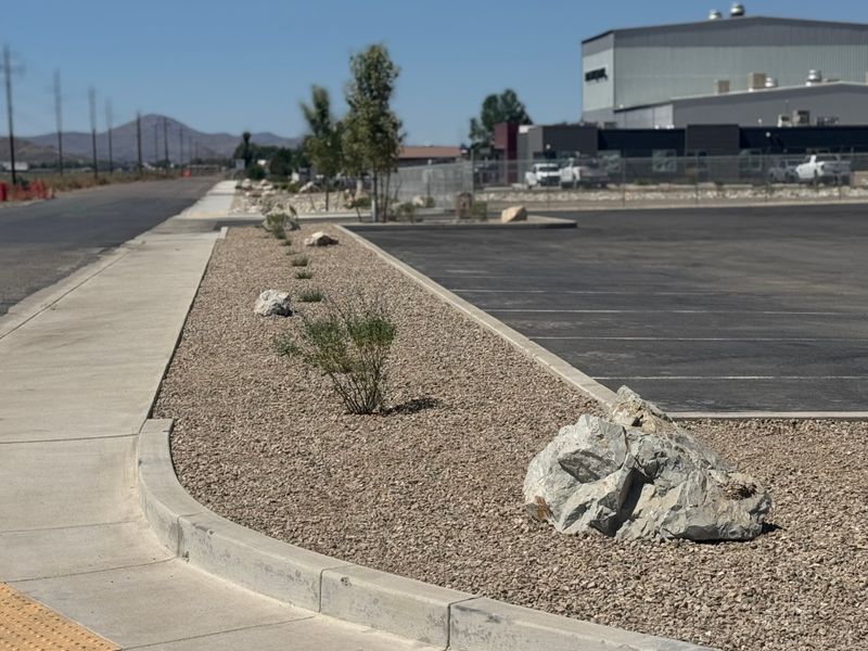 Landscaping