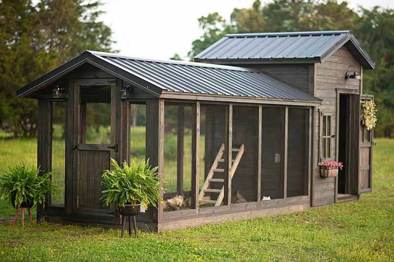 Chicken Coops