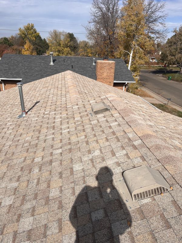 Roof Inspection