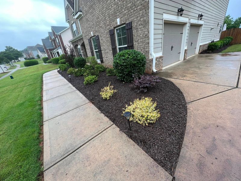 Landscape Design