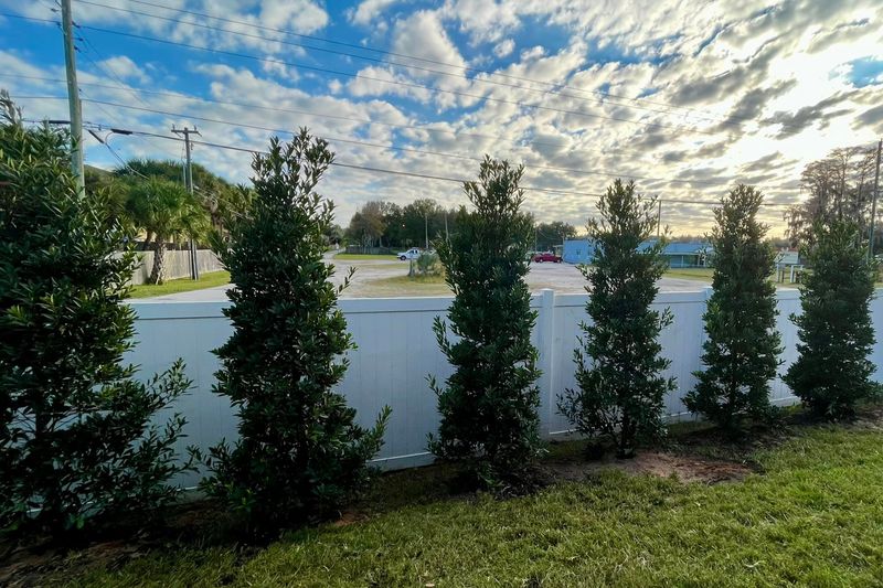 Tree Installation