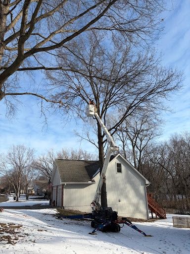 Tree Trimming