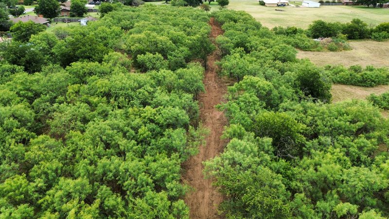 Wichita Falls Land Clearing Job