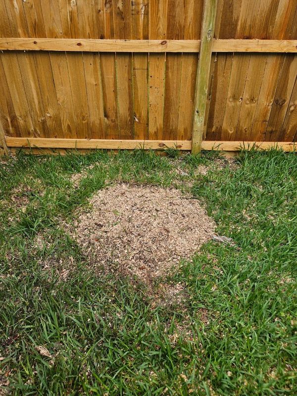 Stump Removal