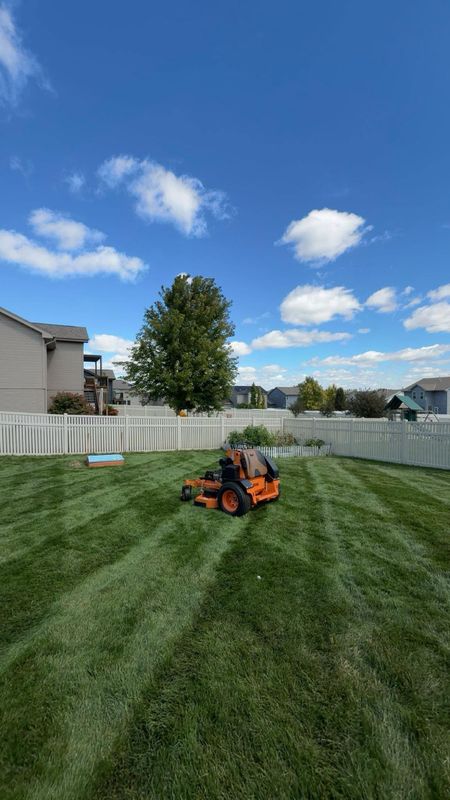 Tree & Shrub Care