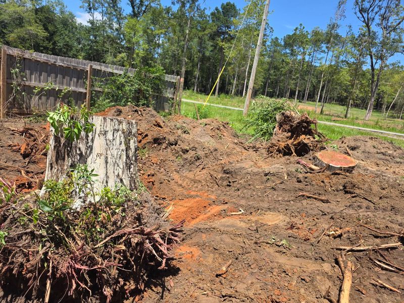 Stump Grinding and Removal