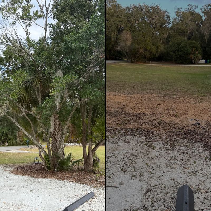 Land Clearing