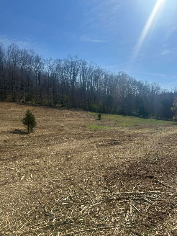 Land Clearing