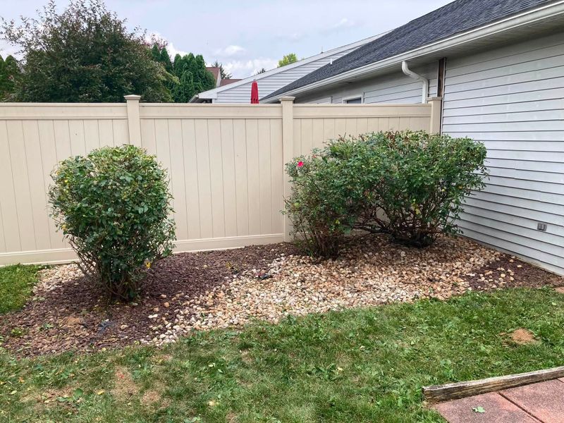 Tree & Shrub Care