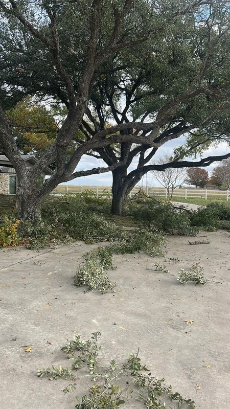 Fall Clean Up