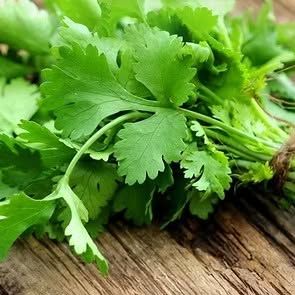 Organic & Seasonal Crops