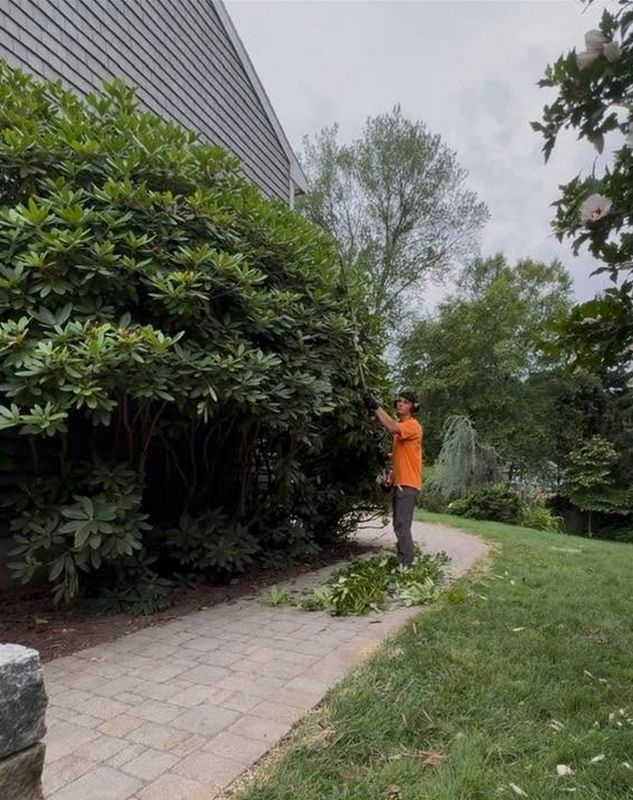 Shrub Removal & Install