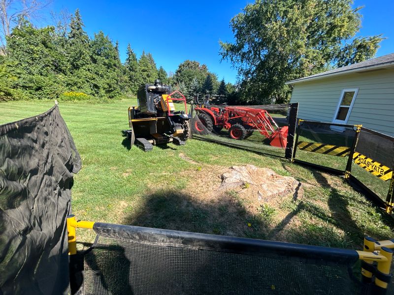 Revitalizing Hilton: Expert Stump Removal and Lawn Restoration on Lighthouse Road