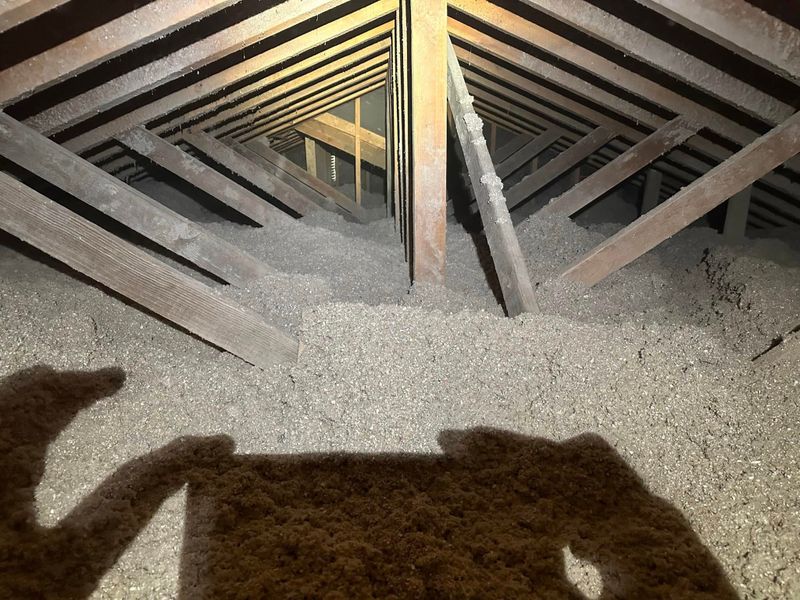 Interior Repairs