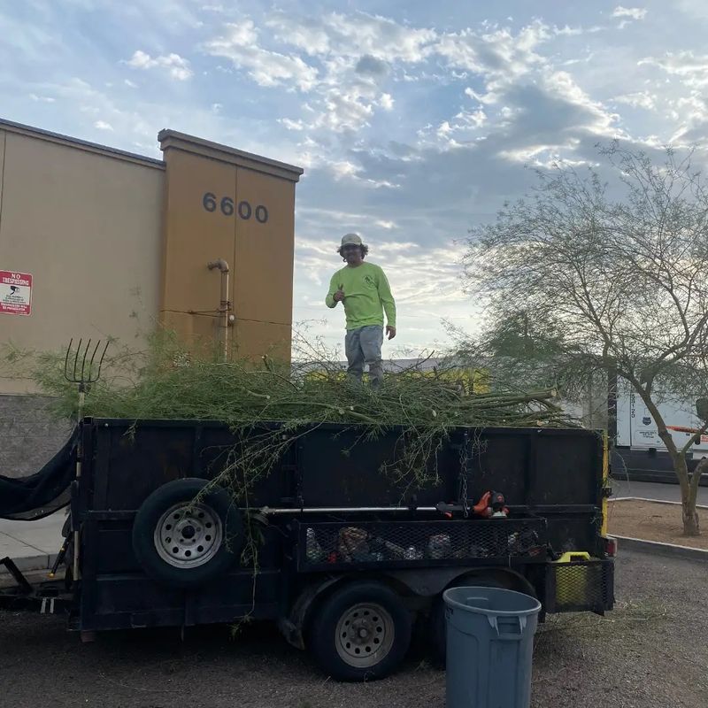 Commercial Property Clean-Up