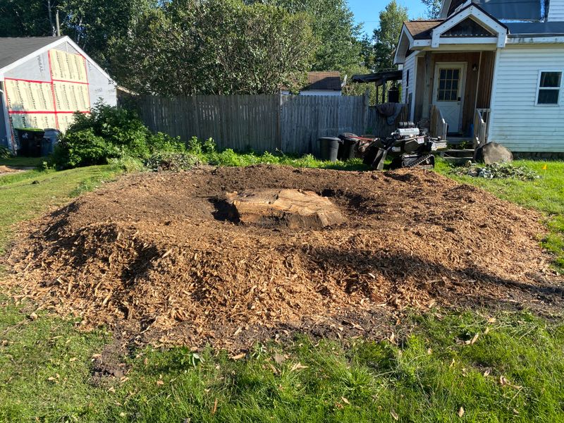 Stump Grinding