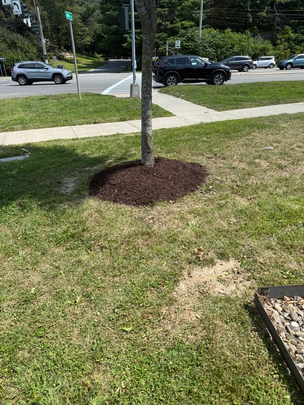 Landscaping