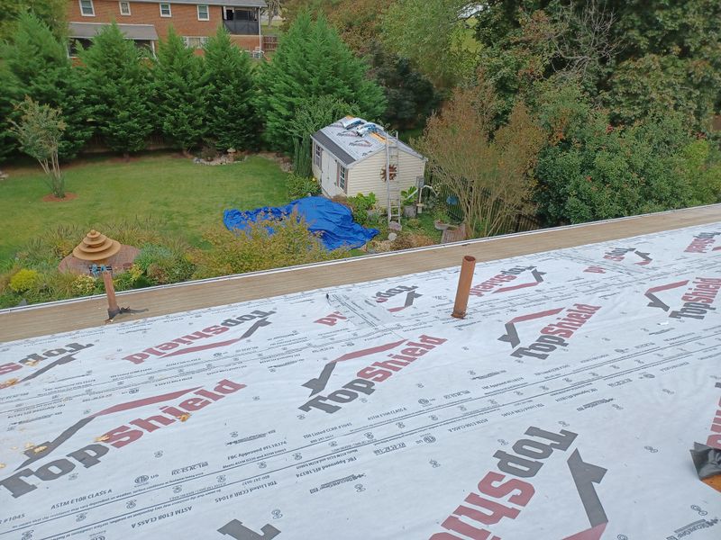 Shingle Roof Replacement