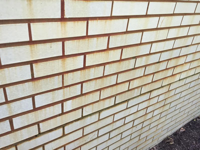 Home Softwashing