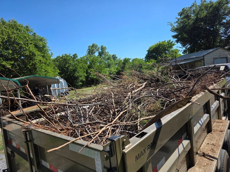 Land Clearing and Development