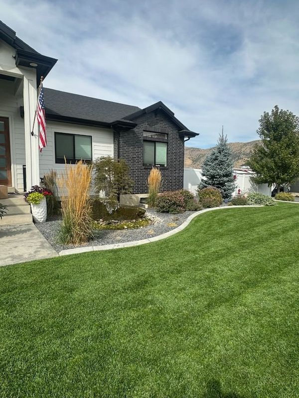 Stunning Lawn Transformation with Sod Installation
