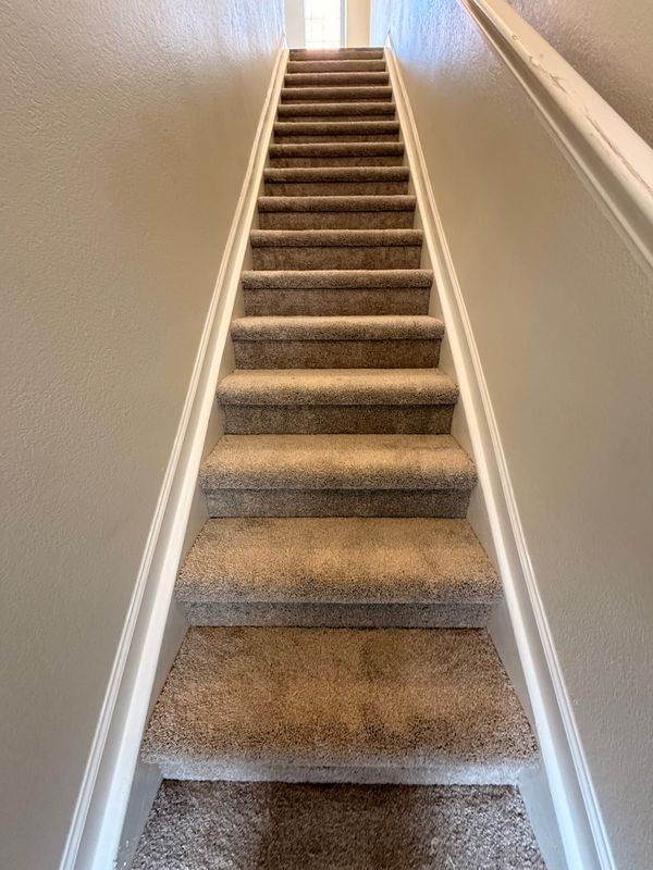 Carpet Installation and Repair