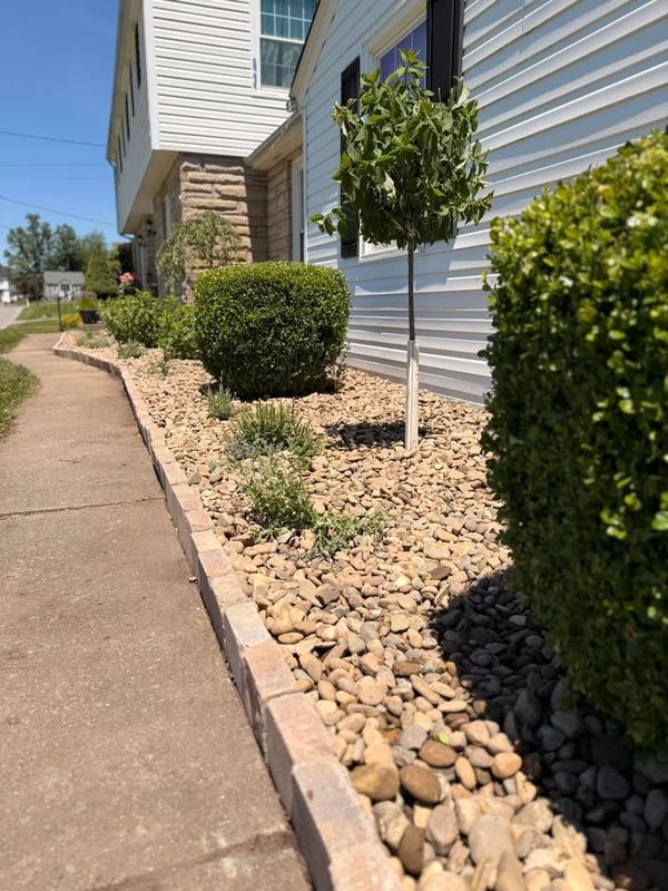 Planting & Garden Bed Installation