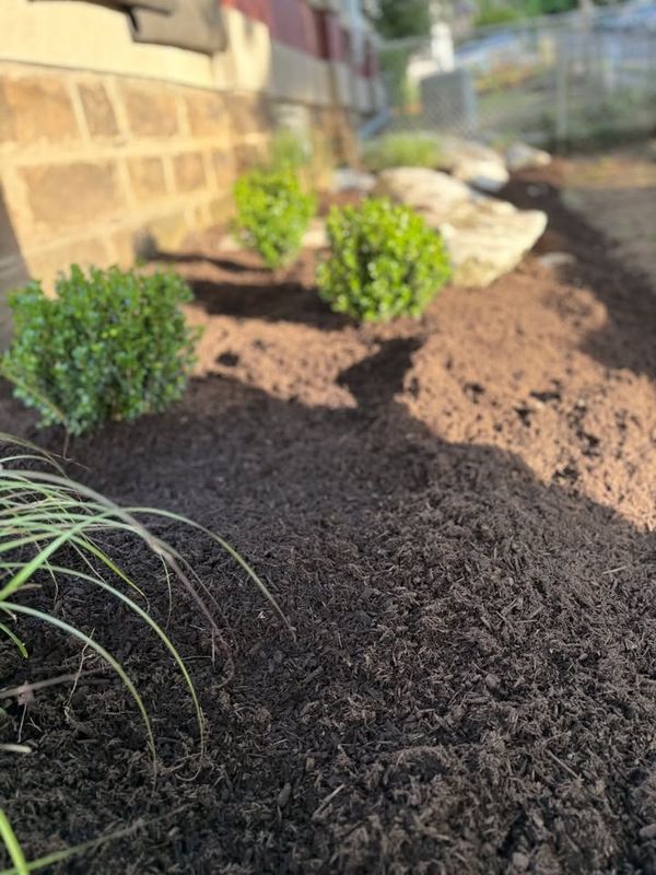 Planting & Garden Bed Installation