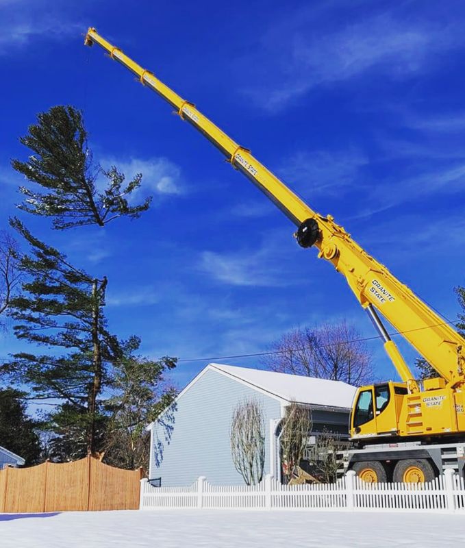 Tree removal / land clearing