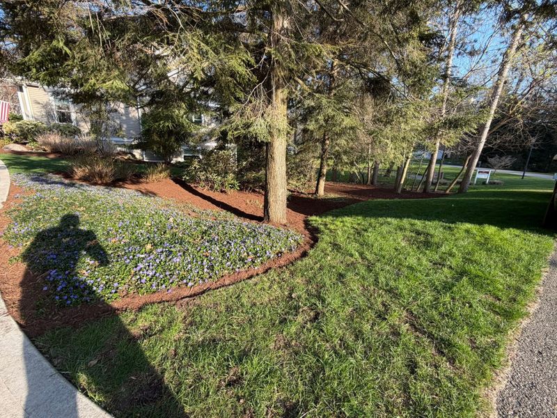 Beautiful Lawns