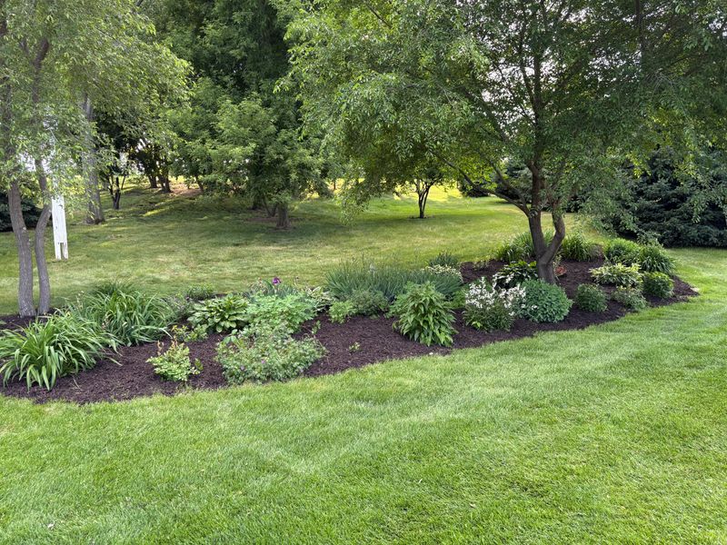 Landscape Maintenance