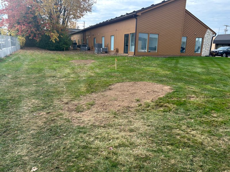 Stump Removal