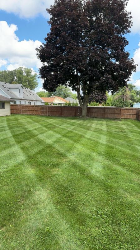 Lawn Maintenance